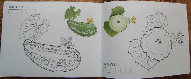 Иллюстрация 8 из 8 для Овощи | Лабиринт - книги. Источник: Tatka