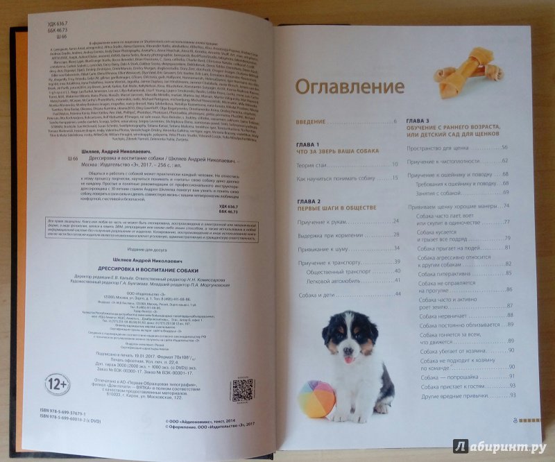 Иллюстрация 6 из 30 для Дрессировка и воспитание собаки - Андрей Шкляев | Лабиринт - книги. Источник: TatianaG