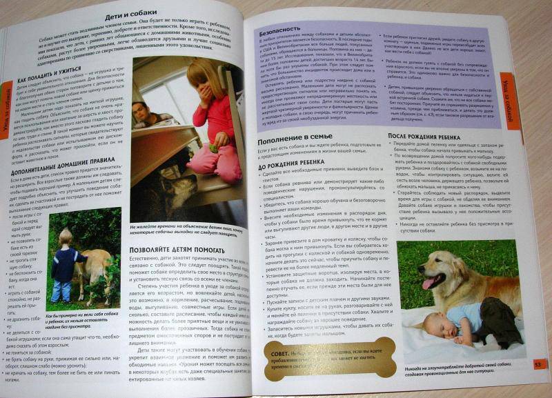 Иллюстрация 13 из 25 для Все о собаках - Карен Буш | Лабиринт - книги. Источник: Rocio