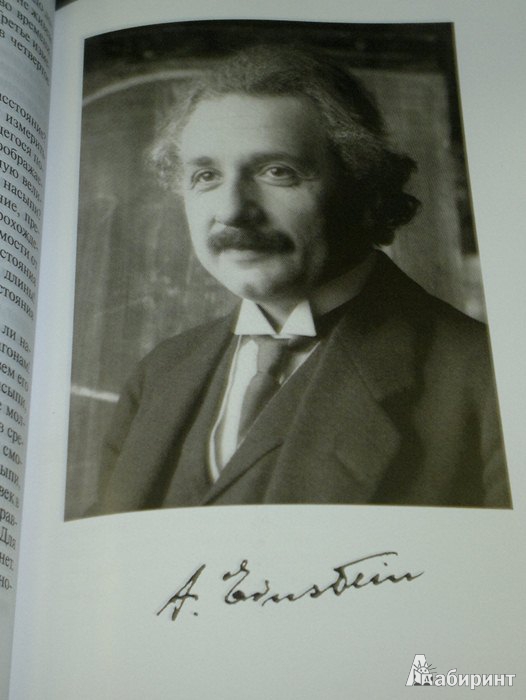 Иллюстрация 7 из 14 для Эйнштейн - Лоран Сексик | Лабиринт - книги. Источник: Леонид Сергеев