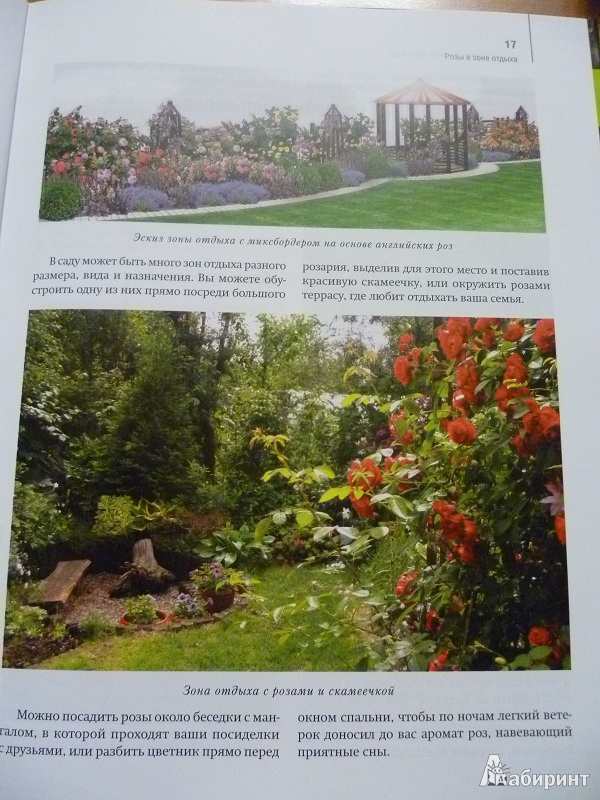 Иллюстрация 5 из 27 для Розы в дизайне вашего сада - Юлия Тадеуш | Лабиринт - книги. Источник: Avid Reader