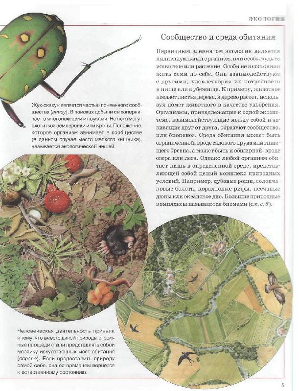 Иллюстрация 9 из 21 для Природа вокруг нас - Астон, Паркер | Лабиринт - книги. Источник: Юта