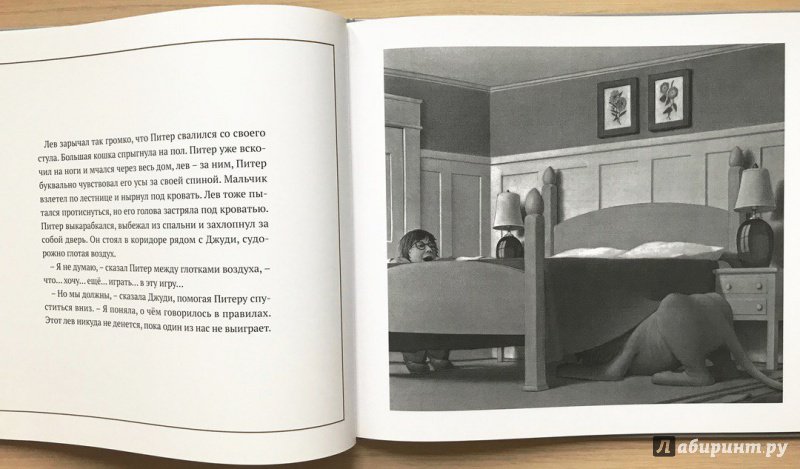 Иллюстрация 12 из 12 для Джуманджи - Крис Олсбург | Лабиринт - книги. Источник: Книжный шкаф детям