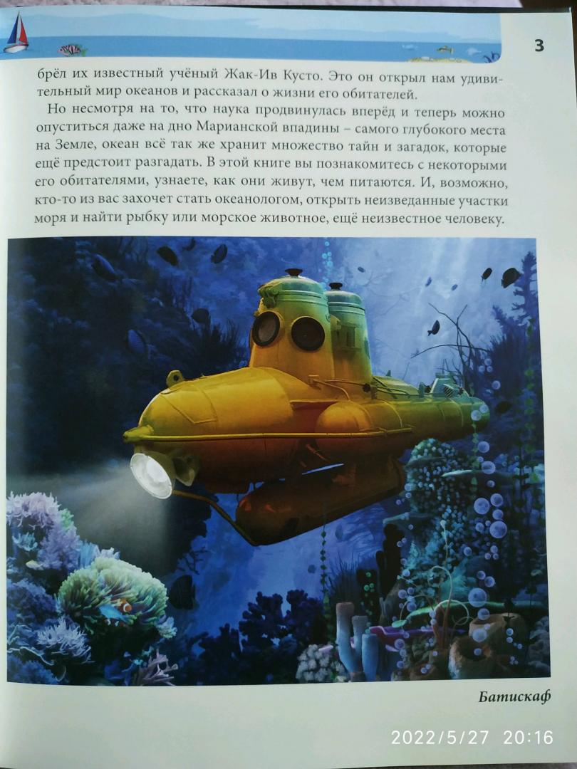 Иллюстрация 74 из 77 для Хочу знать. Подводный мир - Наталья Кульмина | Лабиринт - книги. Источник: Ekaterina Фиалковая