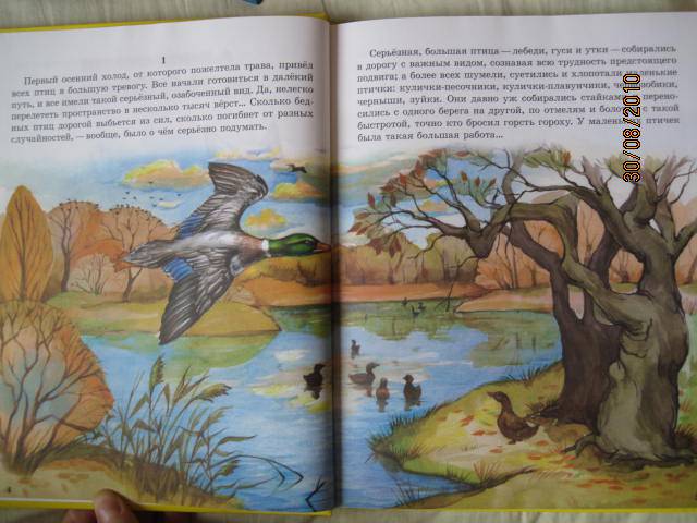 Иллюстрация 10 из 55 для Сказки о животных для малышей - Мамин-Сибиряк, Толстой, Ушинский | Лабиринт - книги. Источник: васина лариса игоревна