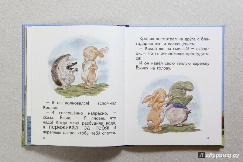 Иллюстрация 45 из 55 для Сказки о Ёжике и Кролике - Пол Стюарт | Лабиринт - книги. Источник: Читаем с мамой