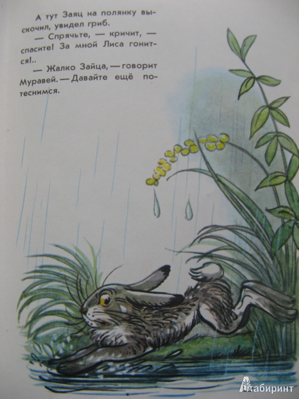 Иллюстрация 4 из 20 для Книга сказок для семейного чтения - Бианки, Заходер, Сутеев | Лабиринт - книги. Источник: Ольга
