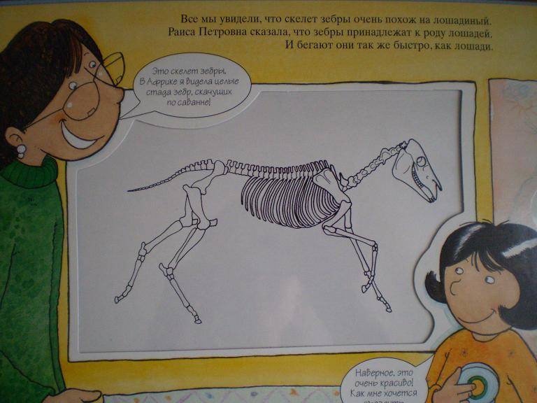 Иллюстрация 43 из 70 для Животные Африки. Магические скелеты | Лабиринт - книги. Источник: Ирина