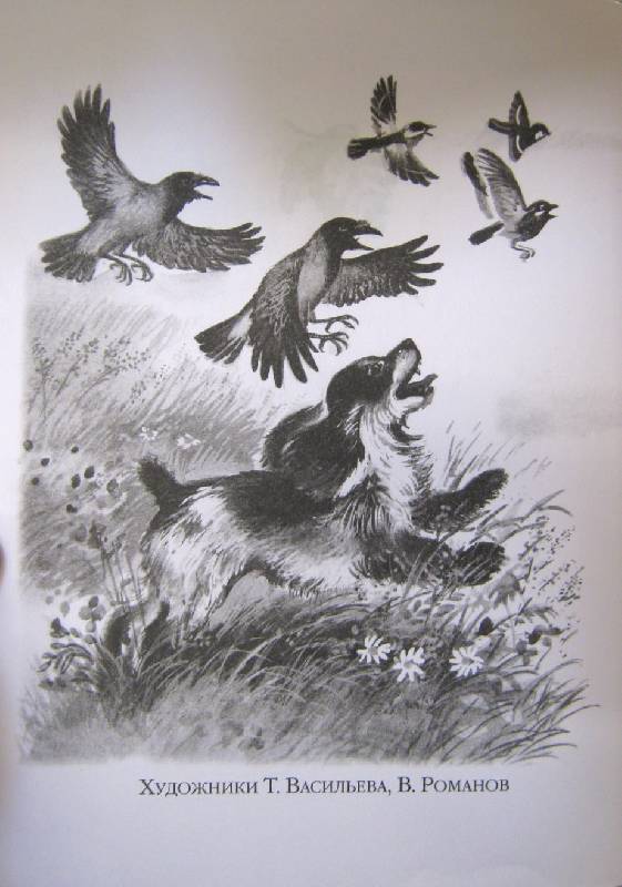 Иллюстрация 6 из 14 для 300 страниц про зверей и птиц | Лабиринт - книги. Источник: Спанч Боб