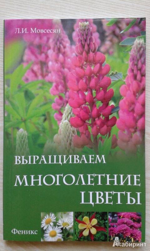 Иллюстрация 2 из 10 для Выращиваем многолетние цветы - Любовь Мовсесян | Лабиринт - книги. Источник: Недопекина  Евгения