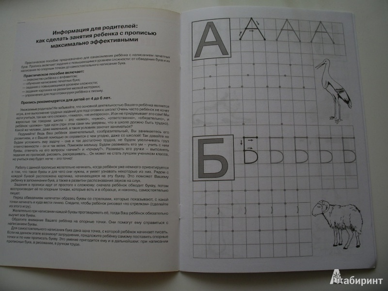Иллюстрация 8 из 12 для Буквы по клеточкам - Марина Георгиева | Лабиринт - книги. Источник: Tiger.