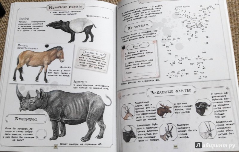 Иллюстрация 14 из 23 для Занимательная зоология. Животные - Вики Эган | Лабиринт - книги. Источник: Панина  Анна