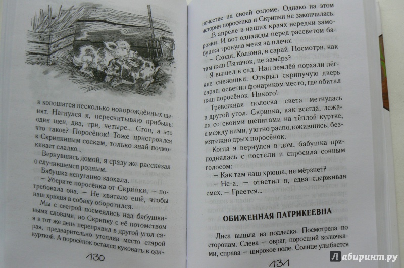 Иллюстрация 15 из 36 для Охотничья избушка - Николай Красильников | Лабиринт - книги. Источник: Марина