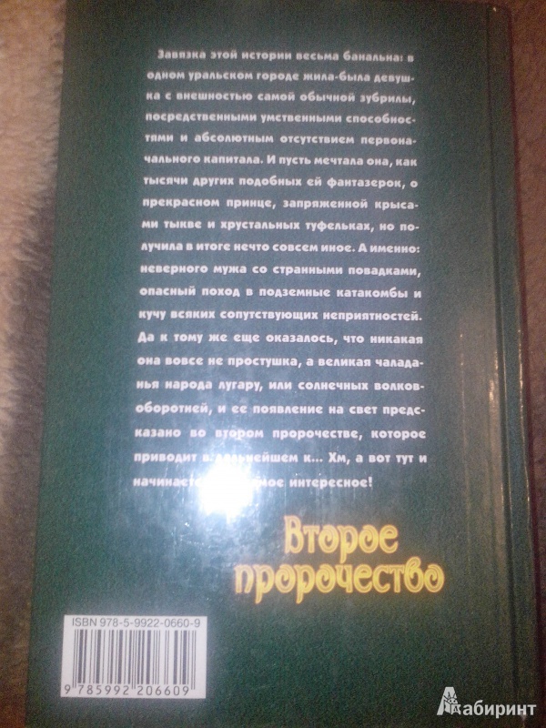 Иллюстрация 7 из 16 для Второе пророчество - Татьяна Устименко | Лабиринт - книги. Источник: ABSOLEM