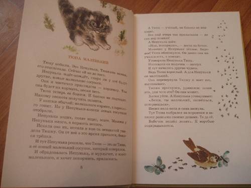 Иллюстрация 10 из 62 для Тюпа, Томка и сорока - Евгений Чарушин | Лабиринт - книги. Источник: Galia