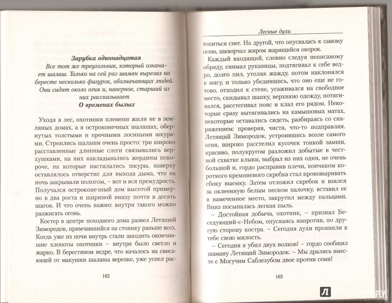 Иллюстрация 8 из 27 для Лесные духи - Александр Прозоров | Лабиринт - книги. Источник: Alex