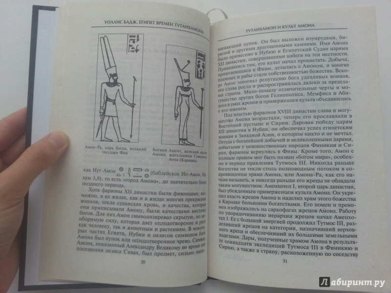 Иллюстрация 20 из 36 для Египет времен Тутанхамона - Уоллис Бадж | Лабиринт - книги. Источник: VALERIYA