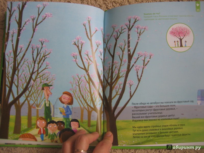 Иллюстрация 21 из 29 для Зеленая книга весны - Софи Кушарьер | Лабиринт - книги. Источник: Курбатова  Аделя Талгатовна