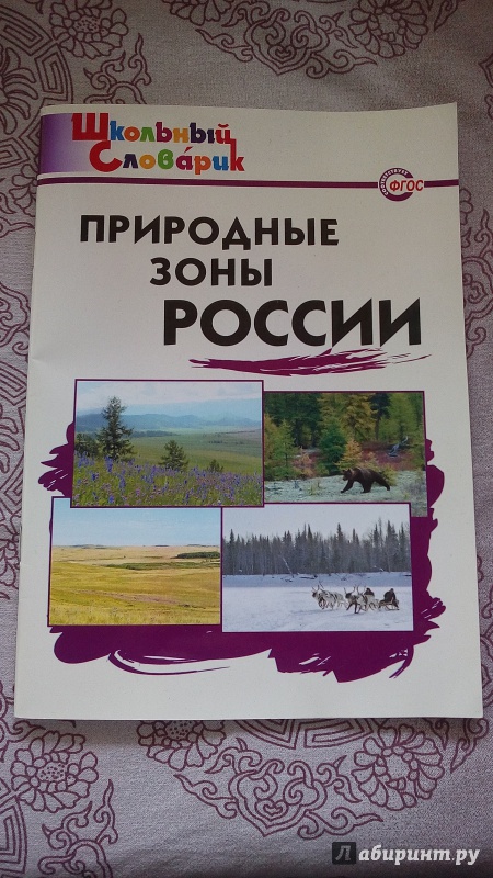 Иллюстрация 17 из 32 для Природные зоны России | Лабиринт - книги. Источник: Кузьмина  Вера Александровна
