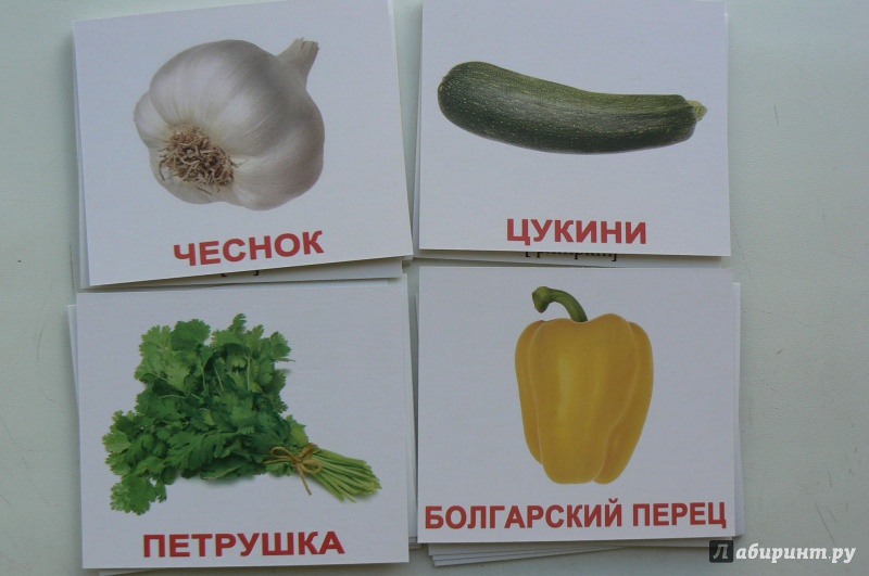 Иллюстрация 9 из 12 для Комплект мини-карточек "Vegetables/Овощи" (40 штук) - Носова, Епанова | Лабиринт - игрушки. Источник: Марина