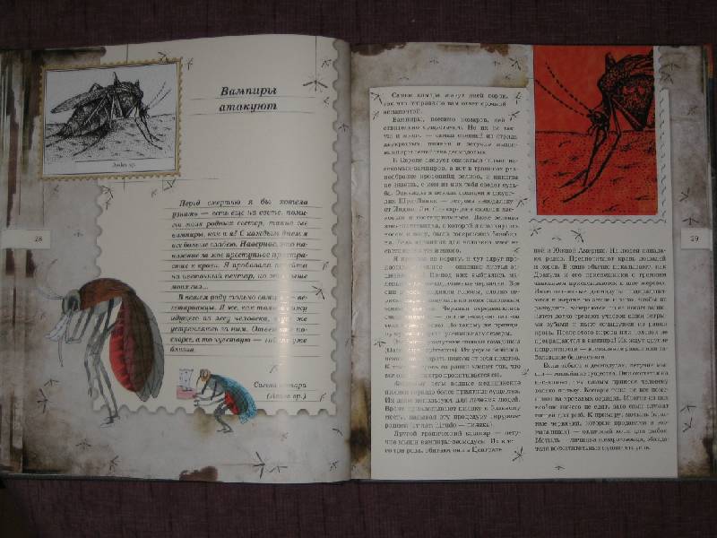 Иллюстрация 24 из 103 для Письма насекомых - Ольга Кувыкина | Лабиринт - книги. Источник: Трухина Ирина