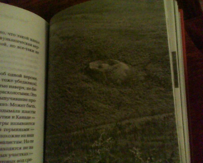 Иллюстрация 8 из 22 для Загадка Патомского кратера - Моисеенко, Язев | Лабиринт - книги. Источник: Бусёк