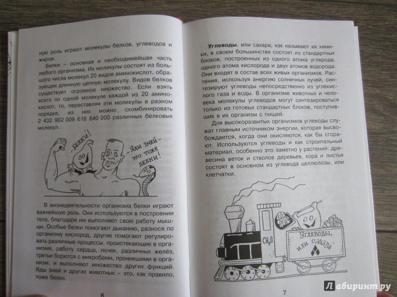 Иллюстрация 34 из 51 для Как устроен человек - Борис Сергеев | Лабиринт - книги. Источник: Светлана