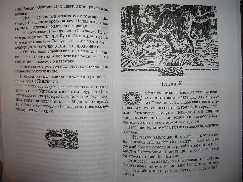 Иллюстрация 5 из 22 для Битва за лес - Эрин Хантер | Лабиринт - книги. Источник: Tiger.