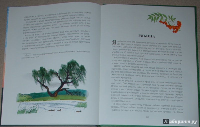 Иллюстрация 23 из 49 для Русский лес - Иван Соколов-Микитов | Лабиринт - книги. Источник: Книжный кот