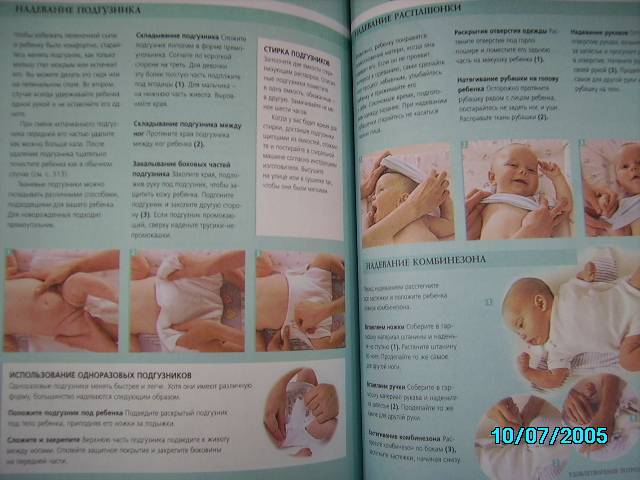 Иллюстрация 7 из 12 для Ваша библия беременности | Лабиринт - книги. Источник: Звездочка