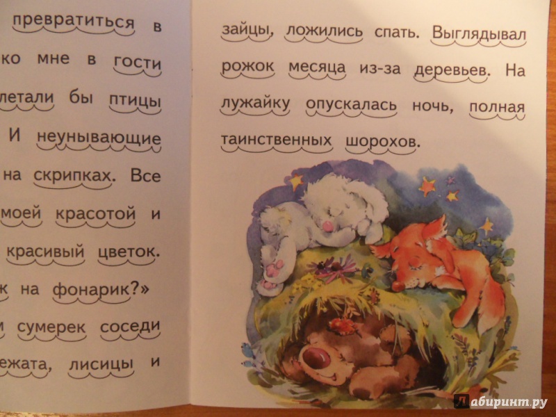 Иллюстрация 8 из 13 для Про ослика - Николай Красильников | Лабиринт - книги. Источник: Елена