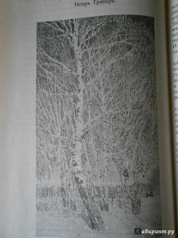 Иллюстрация 13 из 18 для 100 великих картин - Надежда Ионина | Лабиринт - книги. Источник: Леан