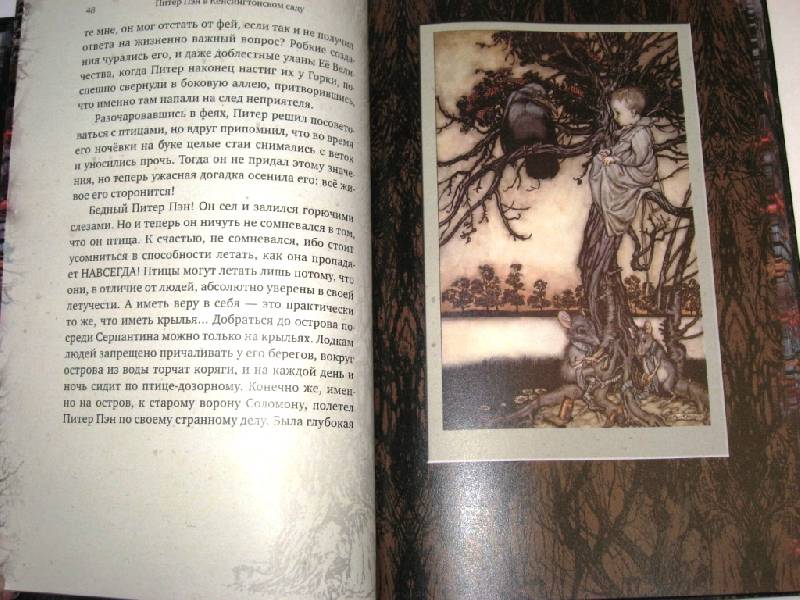 Иллюстрация 39 из 67 для Питер Пэн в Кенсингтонском саду - Джеймс Барри | Лабиринт - книги. Источник: Zhanna