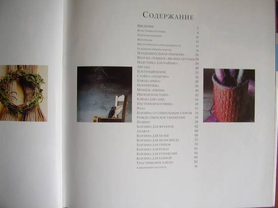 Иллюстрация 10 из 13 для Плетение из прутьев - Полли Поллок | Лабиринт - книги. Источник: kristal