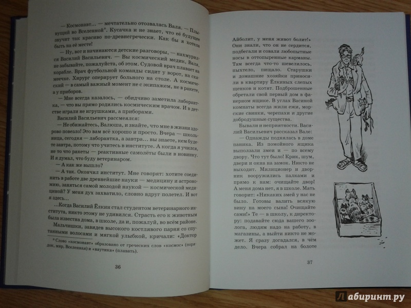Иллюстрация 27 из 65 для Тяпа, Борька и ракета - Баранова, Велтистов | Лабиринт - книги. Источник: Olga
