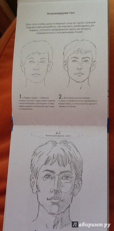 Иллюстрация 4 из 25 для Рисуем на коленке портрет - Баррингтон Барбер | Лабиринт - книги. Источник: Смирнова  Анна