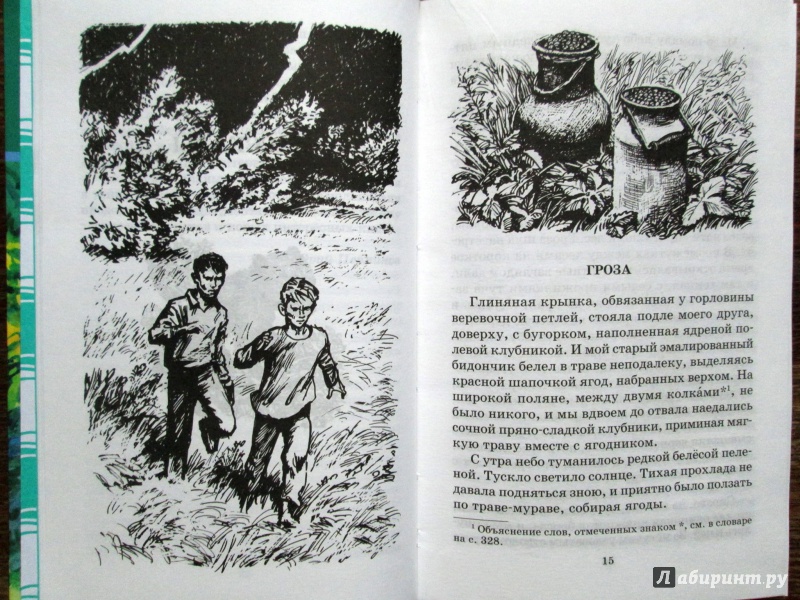 Иллюстрация 4 из 13 для Живая душа - Л. Трутнев | Лабиринт - книги. Источник: Зеленая шляпа