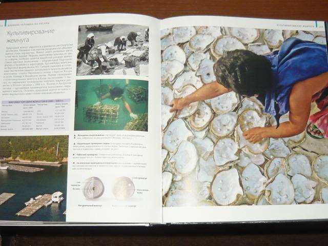 Иллюстрация 35 из 65 для Океаны - Хатчинсон, Хоукинс | Лабиринт - книги. Источник: Ромашка:-)
