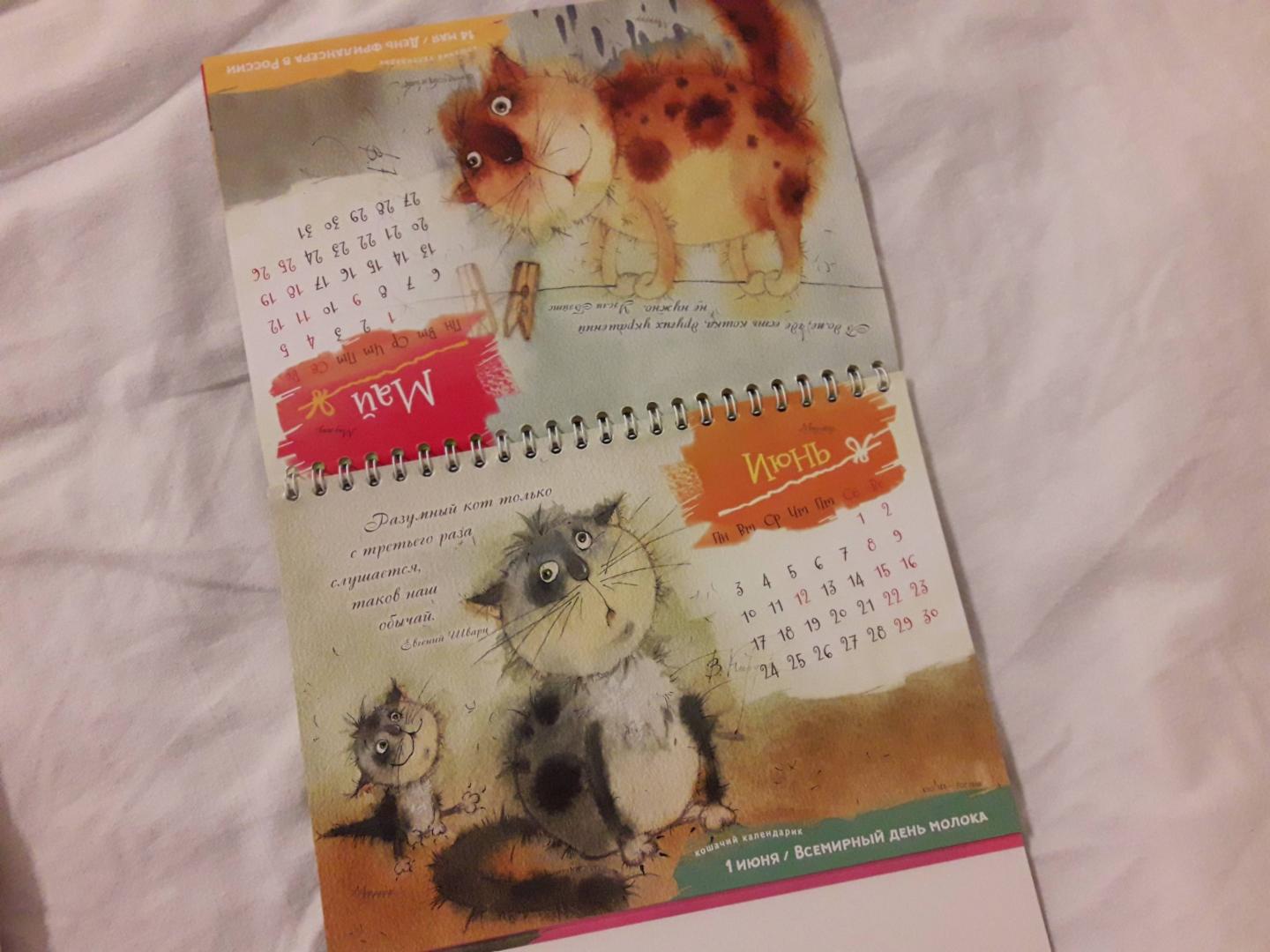 Иллюстрация 25 из 36 для Календарь-домик на 2019 год "365 дней с котом" | Лабиринт - сувениры. Источник: Матильдочка