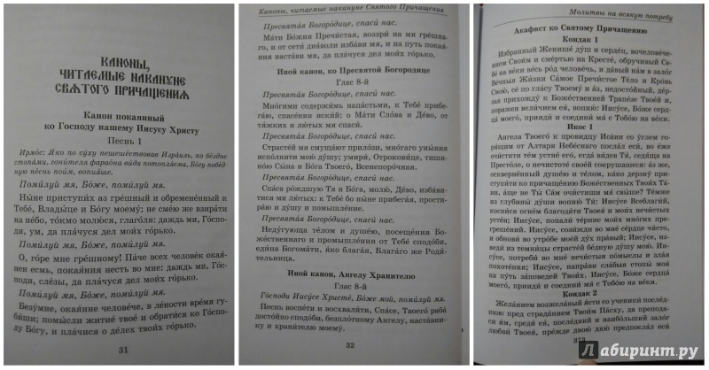 Иллюстрация 9 из 11 для Большой православный молитвослов | Лабиринт - книги. Источник: Олеся