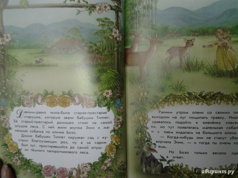 Иллюстрация 20 из 32 для Волшебная радуга - Ширли Барбер | Лабиринт - книги. Источник: Olga