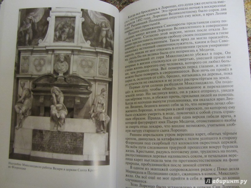 Иллюстрация 13 из 25 для Микеланджело - Александр Махов | Лабиринт - книги. Источник: Мельников  Алексей Александрович