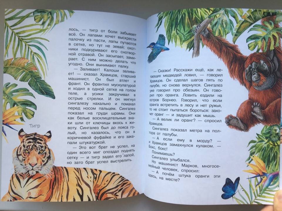 Иллюстрация 23 из 48 для Рассказы и сказки о животных - Житков, Сладков, Сахарнов | Лабиринт - книги. Источник: Лабиринт