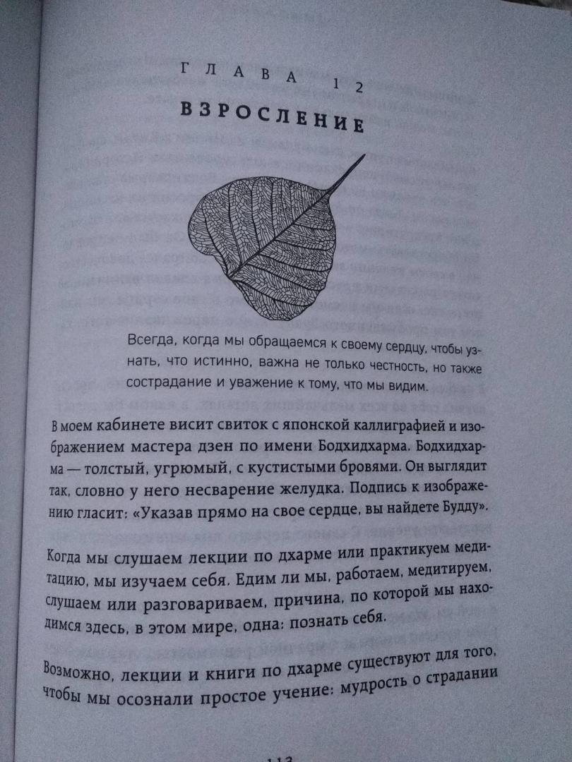 Иллюстрация 14 из 35 для Когда все рушится. Сердечный совет в трудные времена - Пема Чодрон | Лабиринт - книги. Источник: Юлия Б.