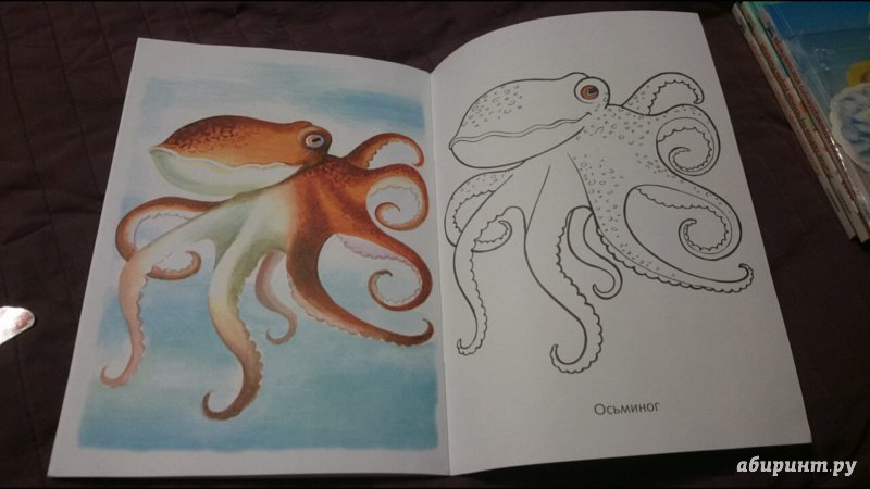 Иллюстрация 22 из 34 для Раскраска Жители морей | Лабиринт - книги. Источник: anka46