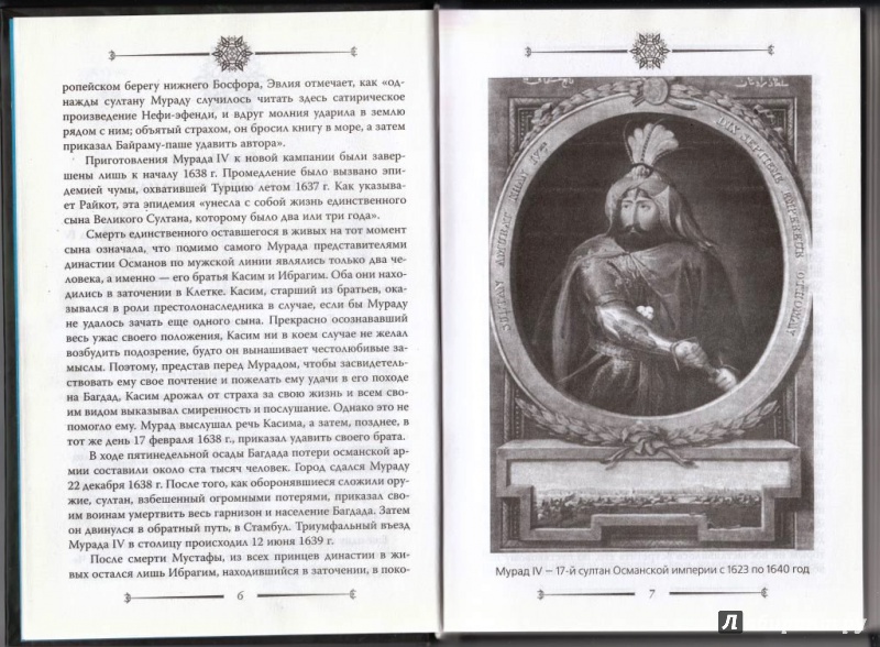 Иллюстрация 6 из 32 для Тайны наследников султанов, или "Клетка для принцев" - Джон Фрили | Лабиринт - книги. Источник: Никишина  Алена