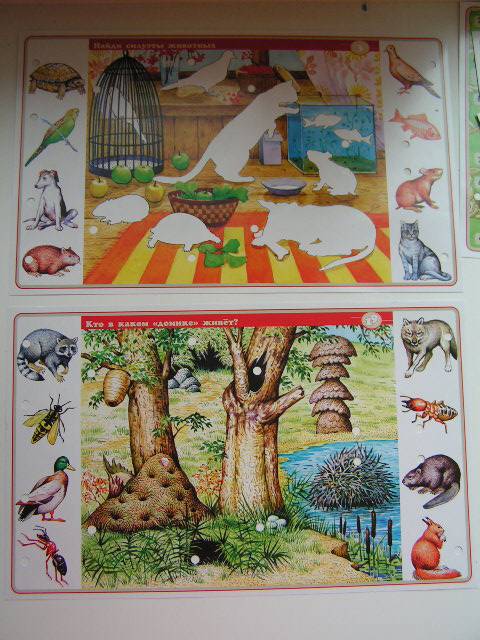 Иллюстрация 4 из 14 для В мире животных. Для детей 7-12 лет. Электровикторина | Лабиринт - игрушки. Источник: ИринаИ