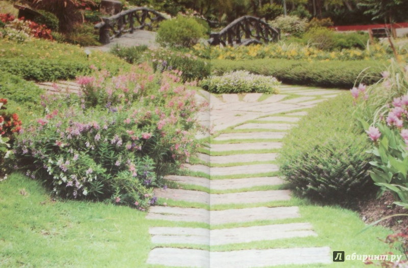 Иллюстрация 3 из 30 для Ландшафтный дизайн сада. Лучше растения и проекты. Решения для отдельных зон и небольших участков - Андрей Лысиков | Лабиринт - книги. Источник: Sakurra