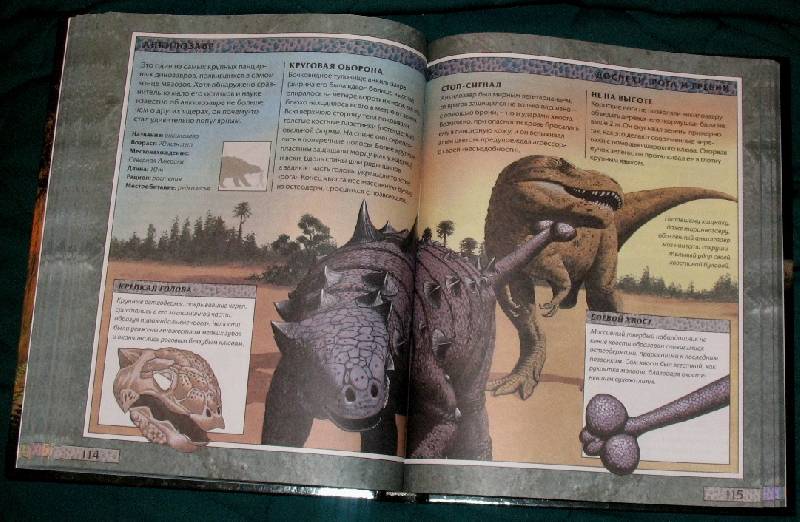 Иллюстрация 32 из 49 для Большая иллюстрированная энциклопедия динозавров - Мэлам, Паркер | Лабиринт - книги. Источник: jenny
