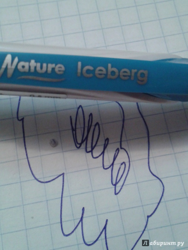Иллюстрация 3 из 14 для Ручка шариковая Nature Iceberg (синяя) (арт.610025-10) | Лабиринт - канцтовы. Источник: Написатель